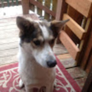 Meet your Posher, Elise